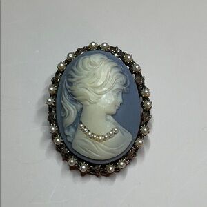 Vintage Elegant Blue and White Cameo Brooch